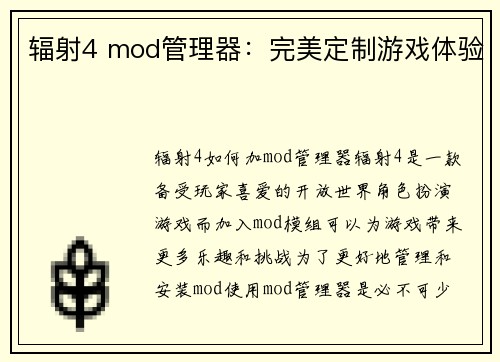 辐射4 mod管理器：完美定制游戏体验